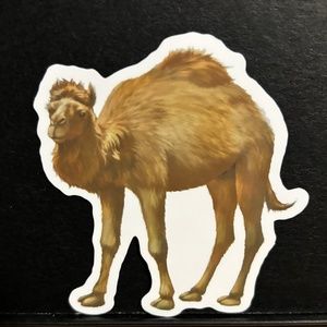CAMEL STICKER